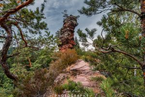 Mehr über den Artikel erfahren Felsen im Nirgendwo…
