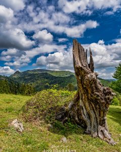 Mehr über den Artikel erfahren Am Belchen…