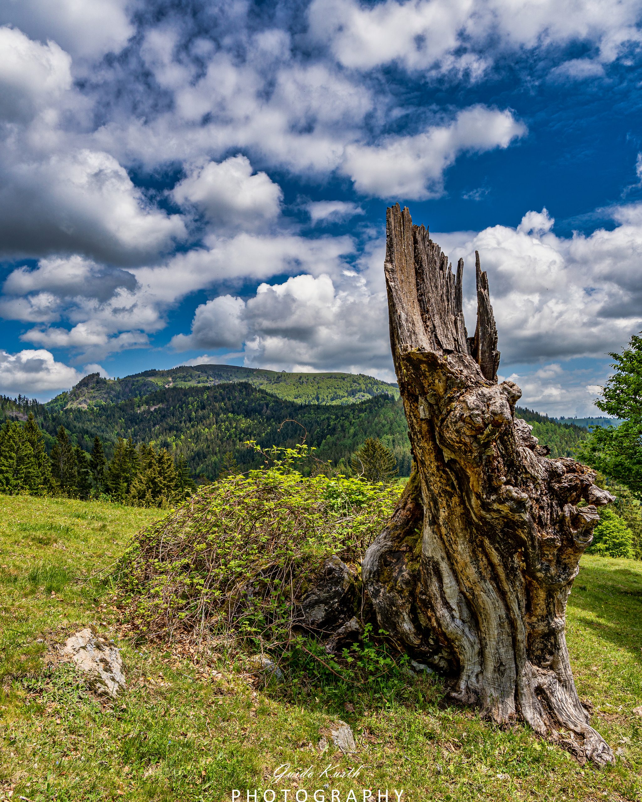 Du betrachtest gerade Am Belchen…