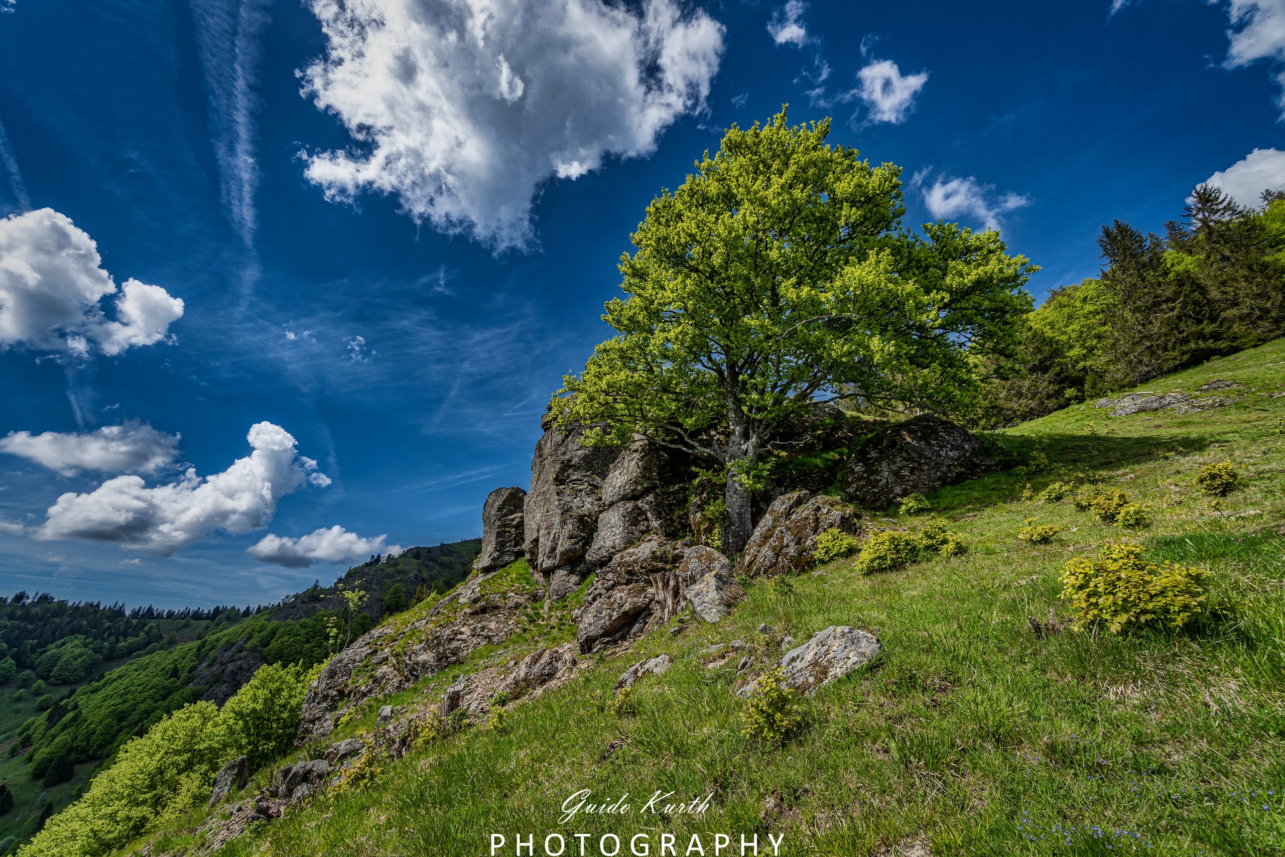 Du betrachtest gerade Am Belchen