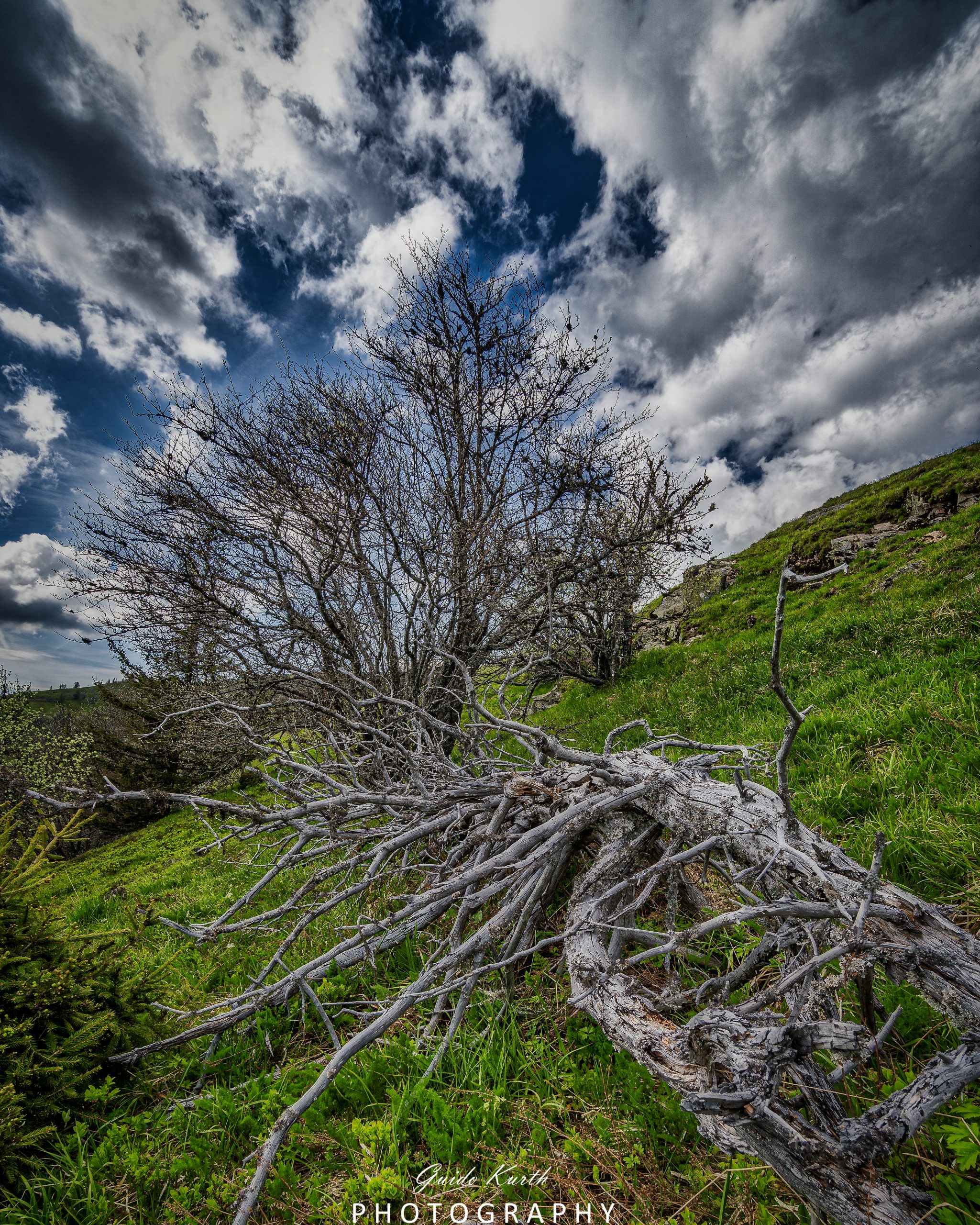 Du betrachtest gerade Am Belchen