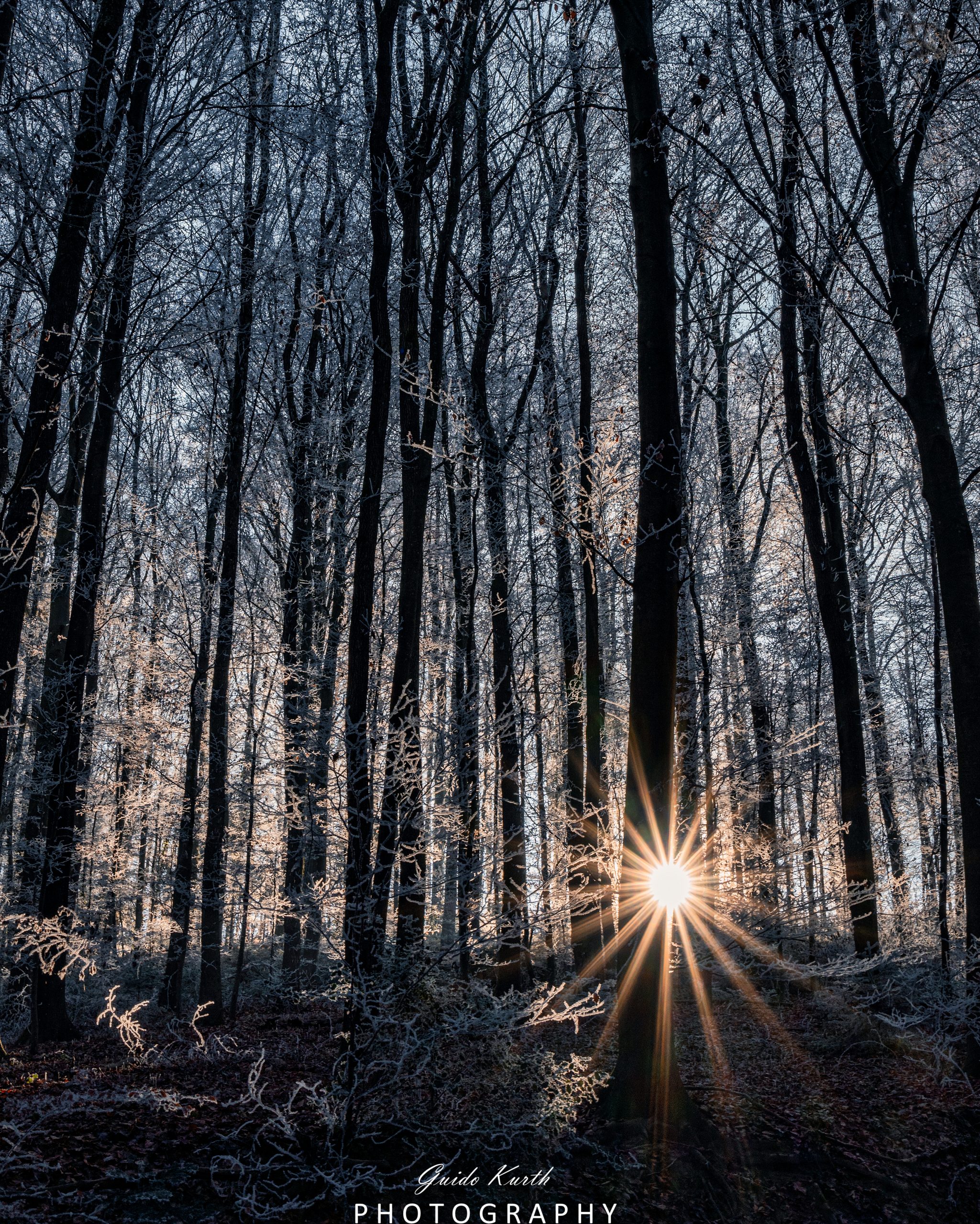 Du betrachtest gerade Väterchen Frost…