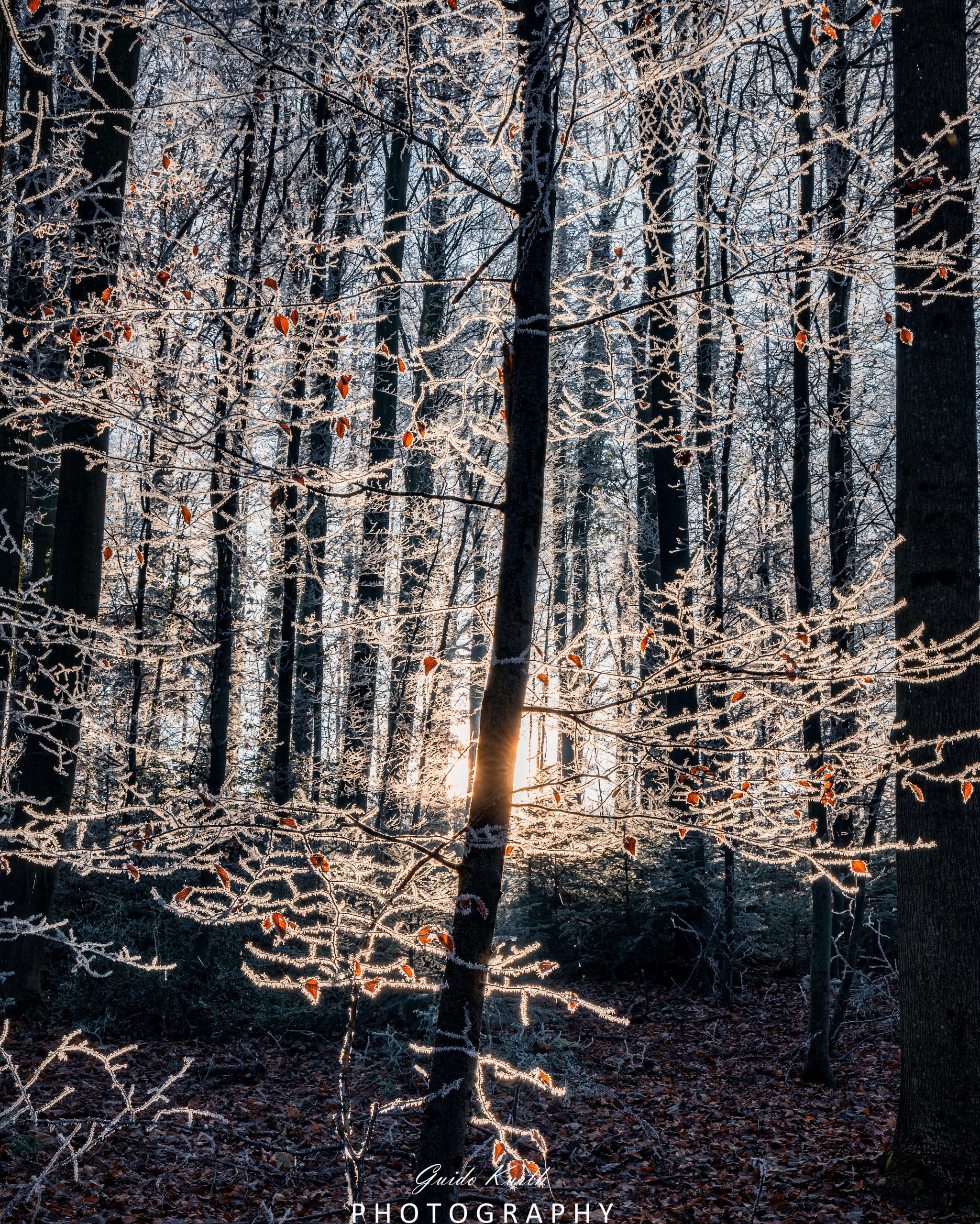 Du betrachtest gerade Väterchen Frost…