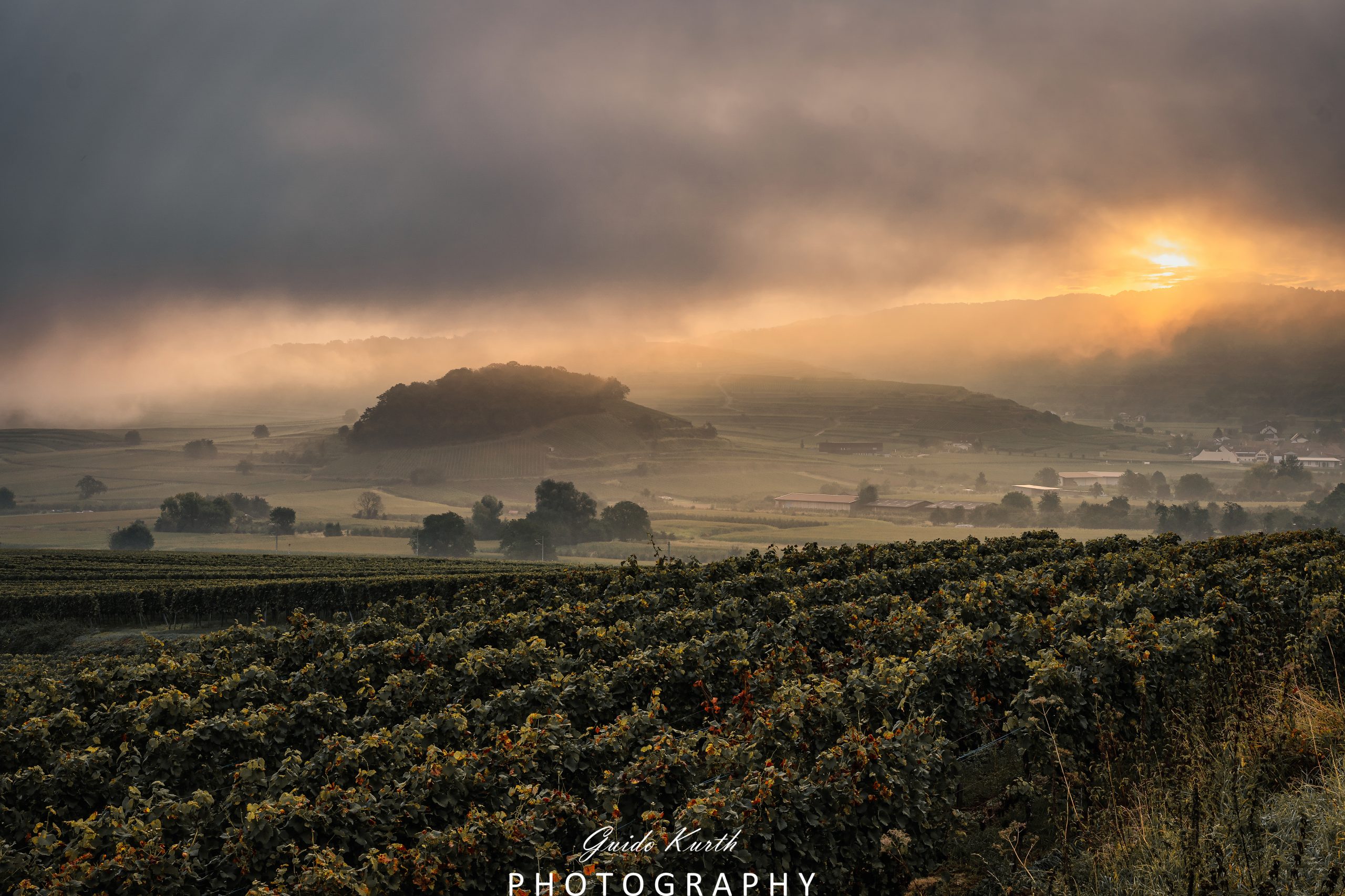 Mehr über den Artikel erfahren Herbstlicher Morgenbeginn Kaiserstuhl