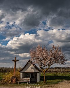 Mehr über den Artikel erfahren Frühlings Beginn…
