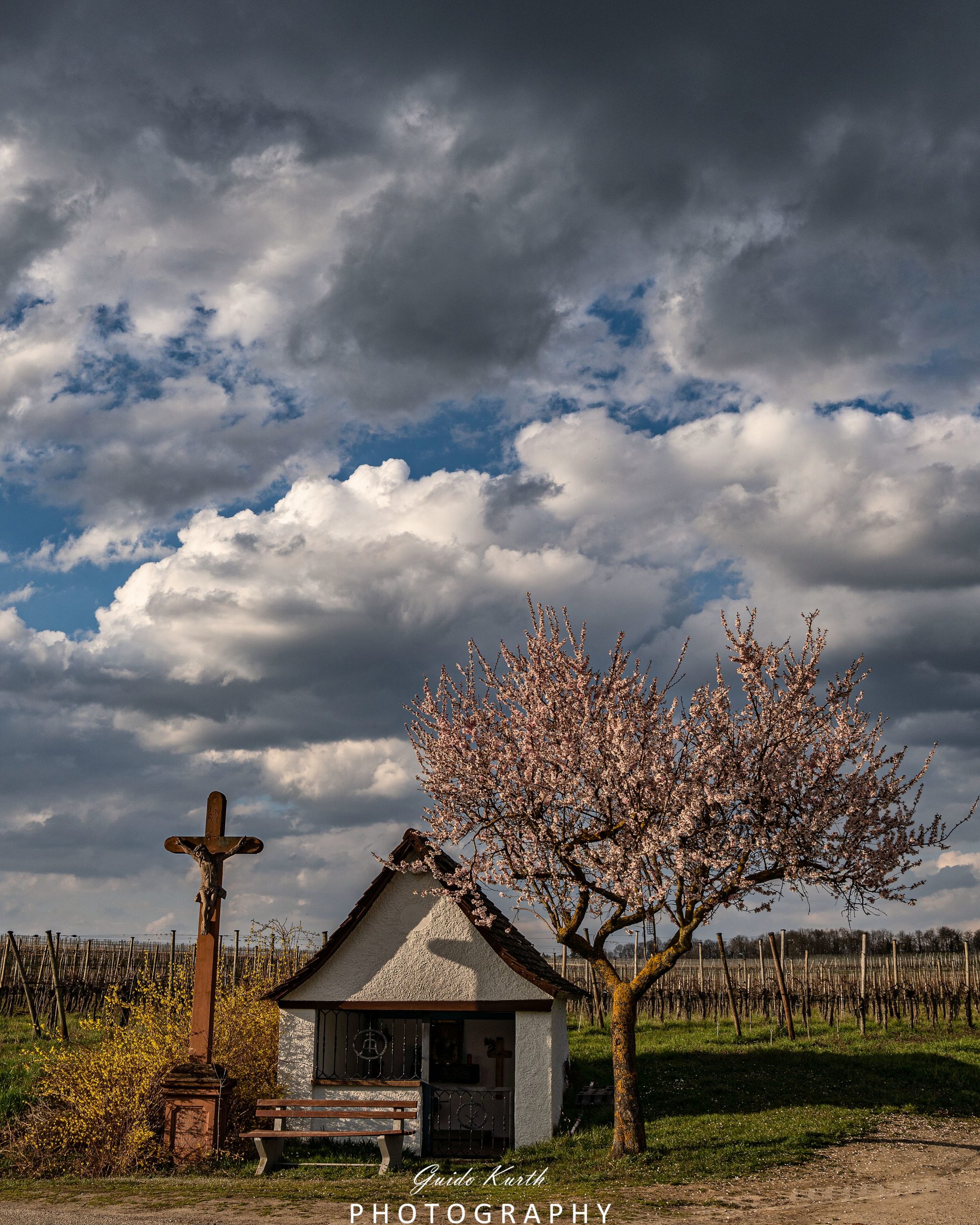 Mehr über den Artikel erfahren Frühlings Beginn…