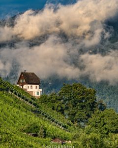 Mehr über den Artikel erfahren After the Rain…