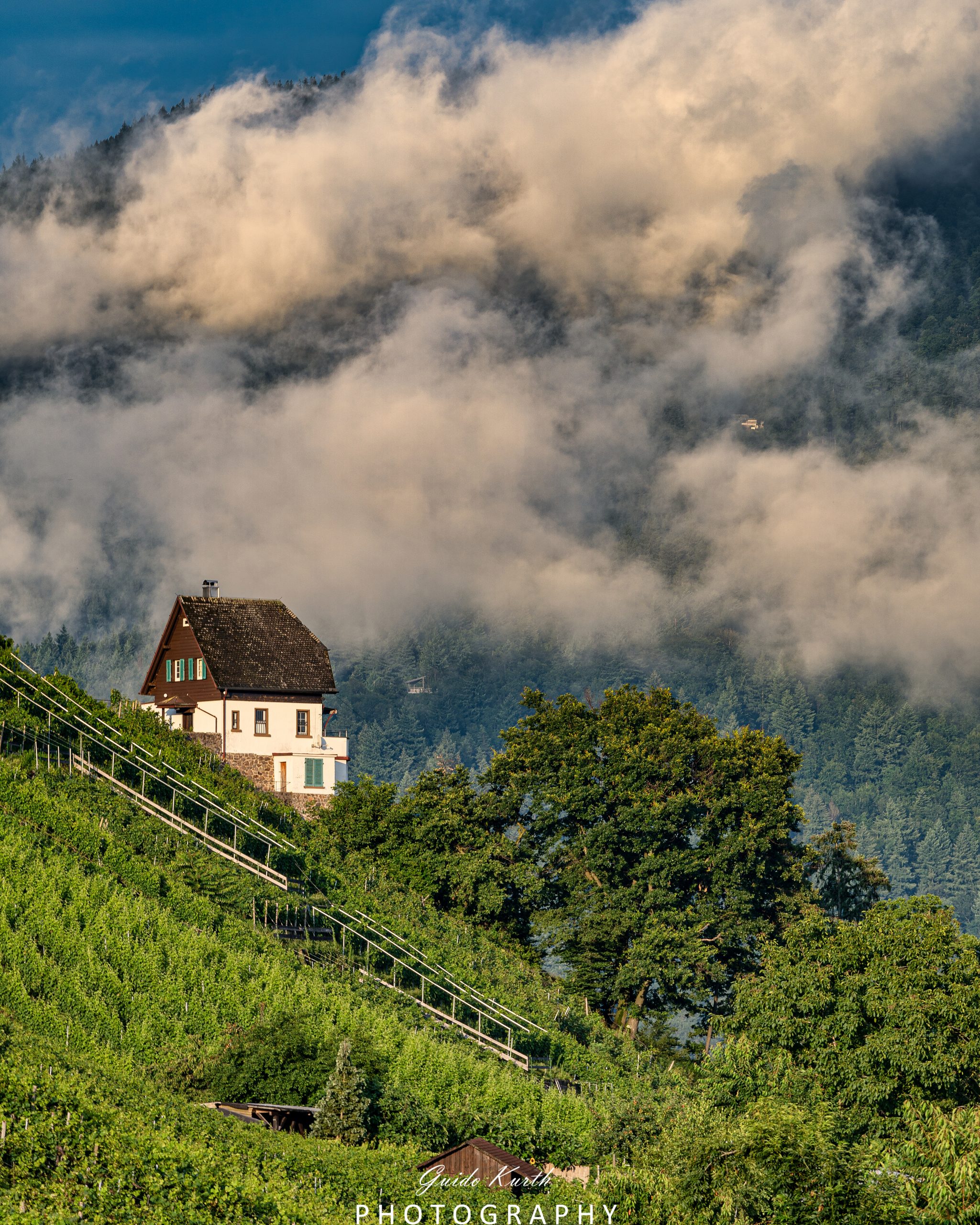 Du betrachtest gerade After the Rain…