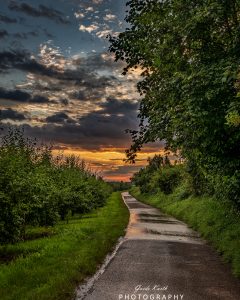 Mehr über den Artikel erfahren Weg zum Horizont…