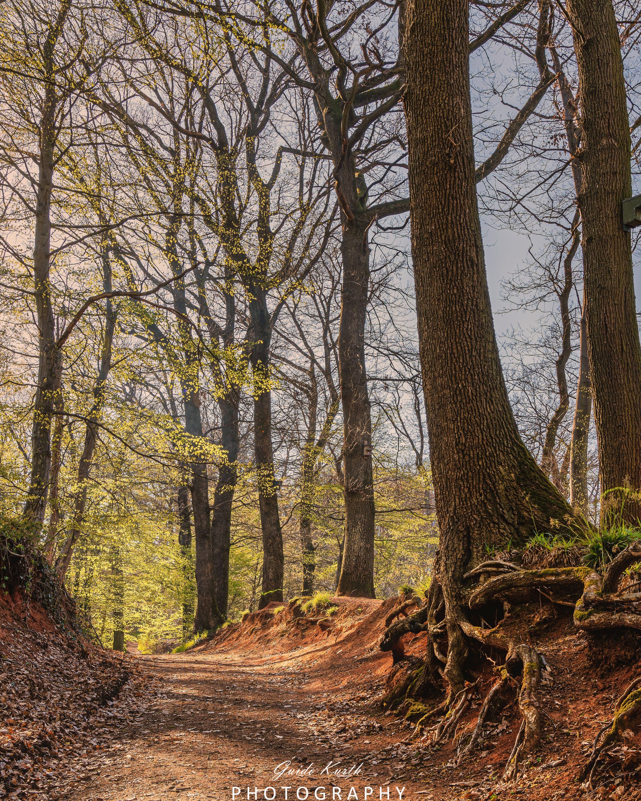 Mehr über den Artikel erfahren Zartes Frühlingsgrün…