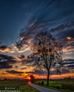 Mehr über den Artikel erfahren Wohlfühl Moment…