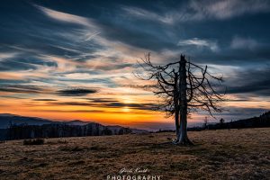 Mehr über den Artikel erfahren Was für ein Himmel…