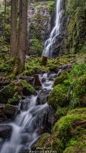 Mehr über den Artikel erfahren Burgbachwasserfall