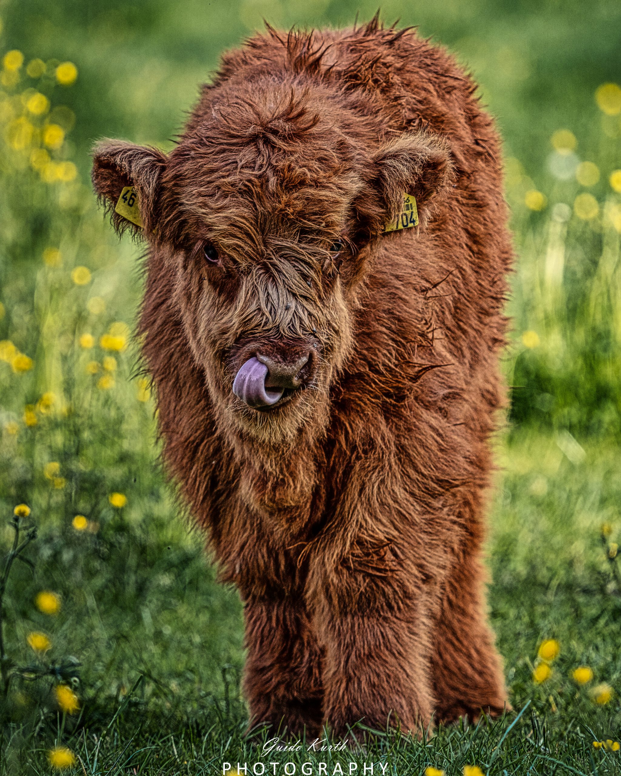 Du betrachtest gerade Die jungen Wilden…