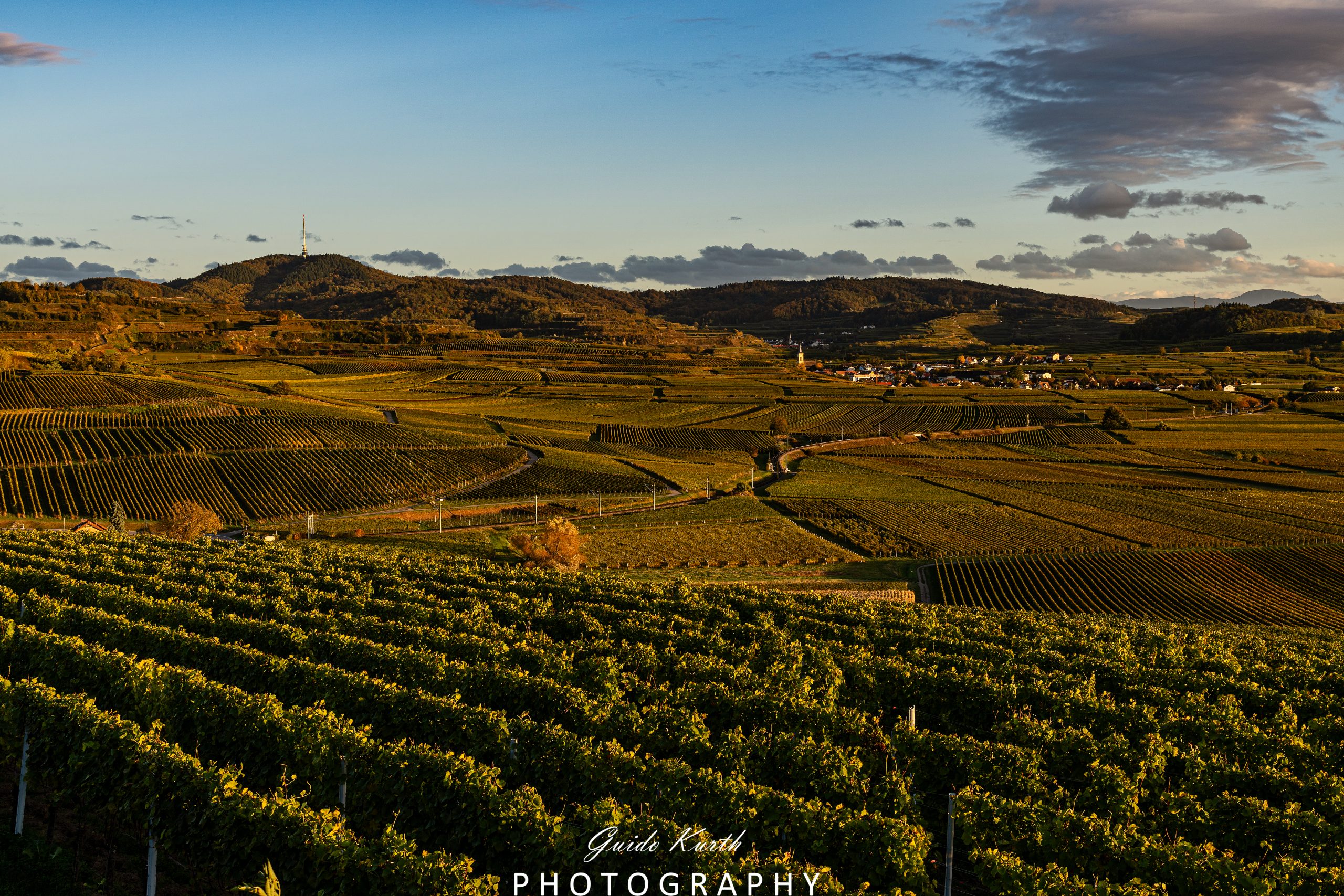 Mehr über den Artikel erfahren Ausblick Kaiserstuhl…