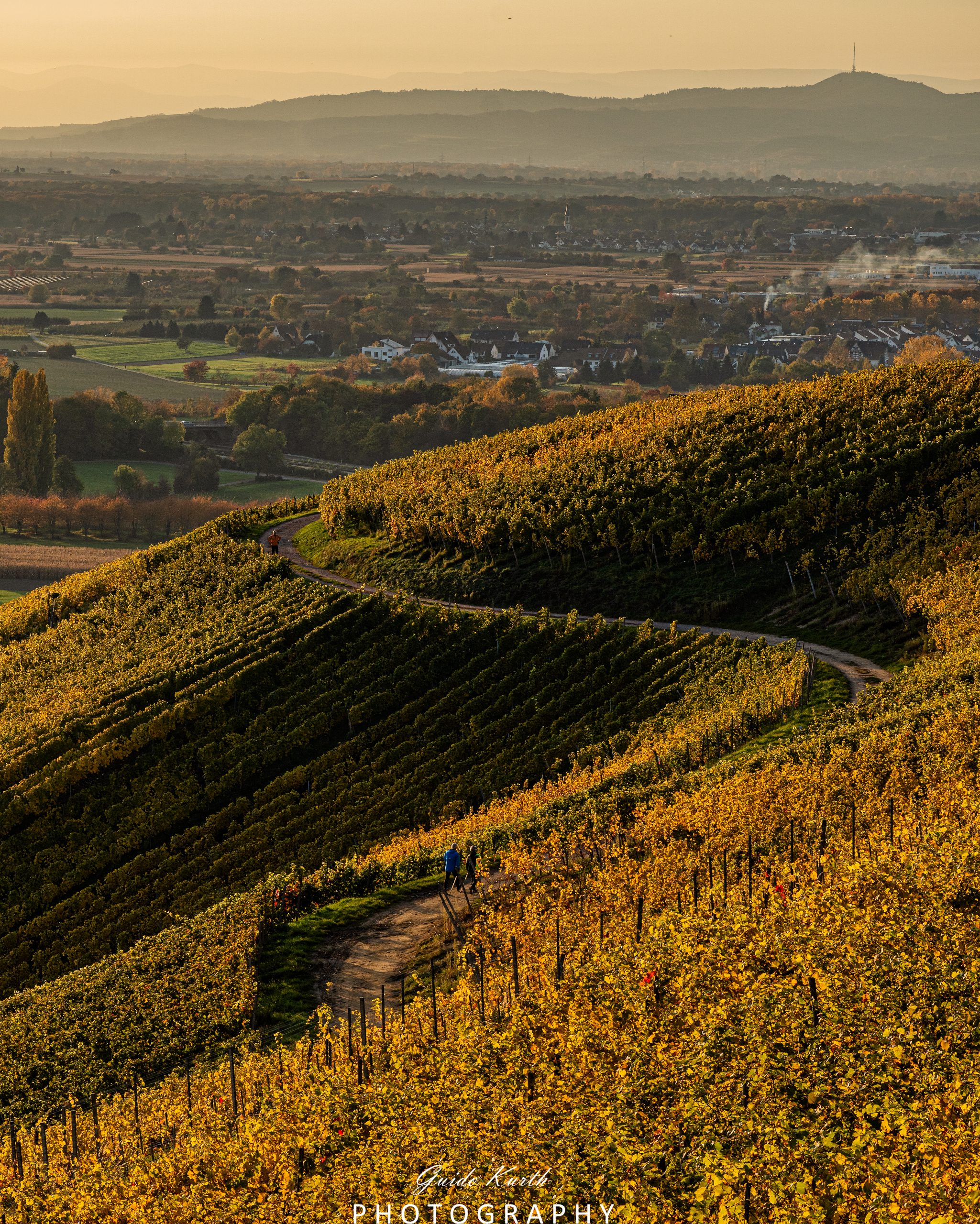 Mehr über den Artikel erfahren Goldener Herbst…