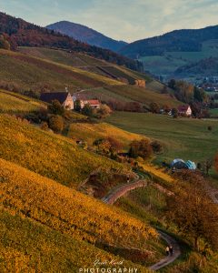 Mehr über den Artikel erfahren Goldener Herbst…