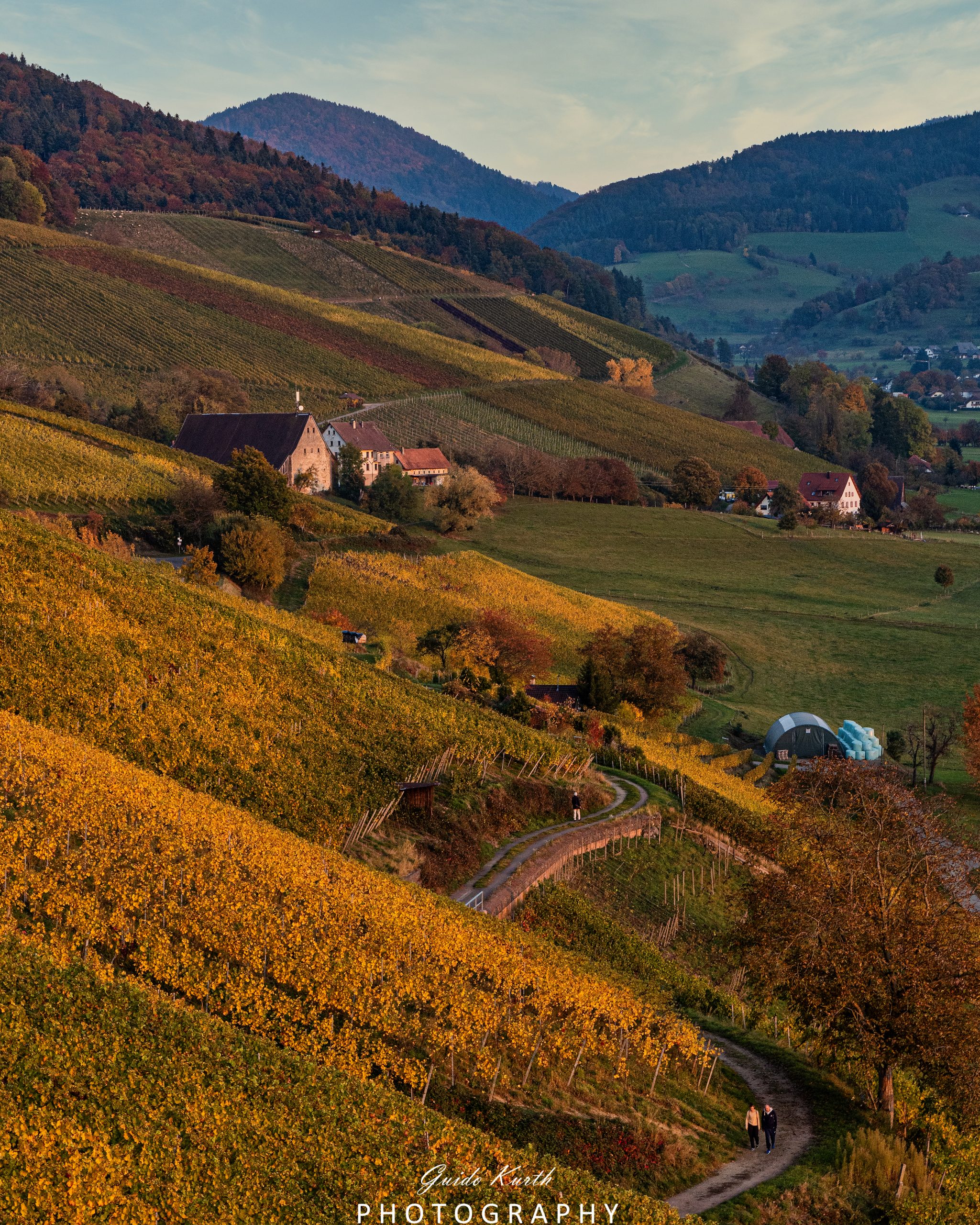 Du betrachtest gerade Goldener Herbst…