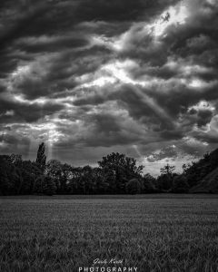 Mehr über den Artikel erfahren Black and White…