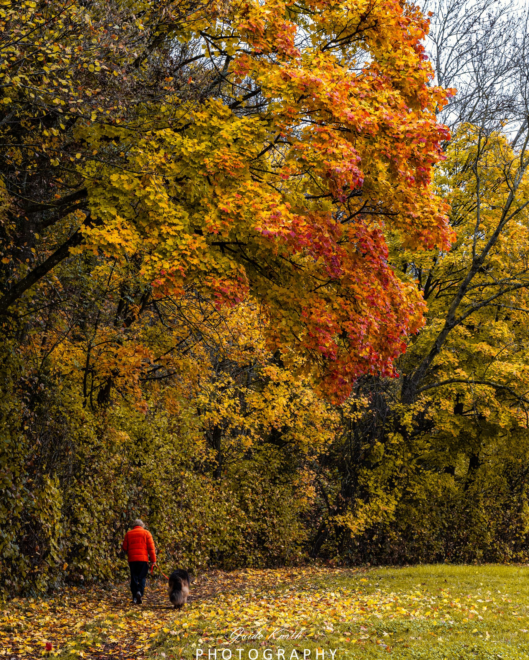 Du betrachtest gerade Herbstfarben…