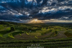 Mehr über den Artikel erfahren Bickensohl