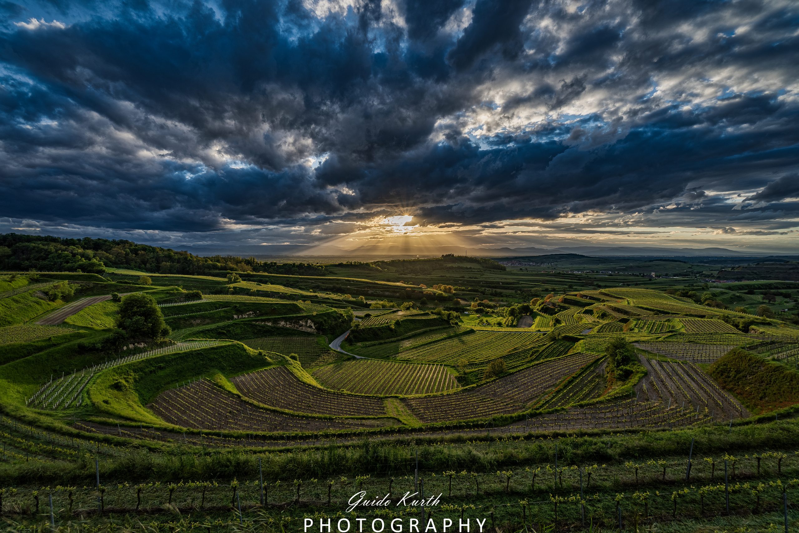 Mehr über den Artikel erfahren Bickensohl