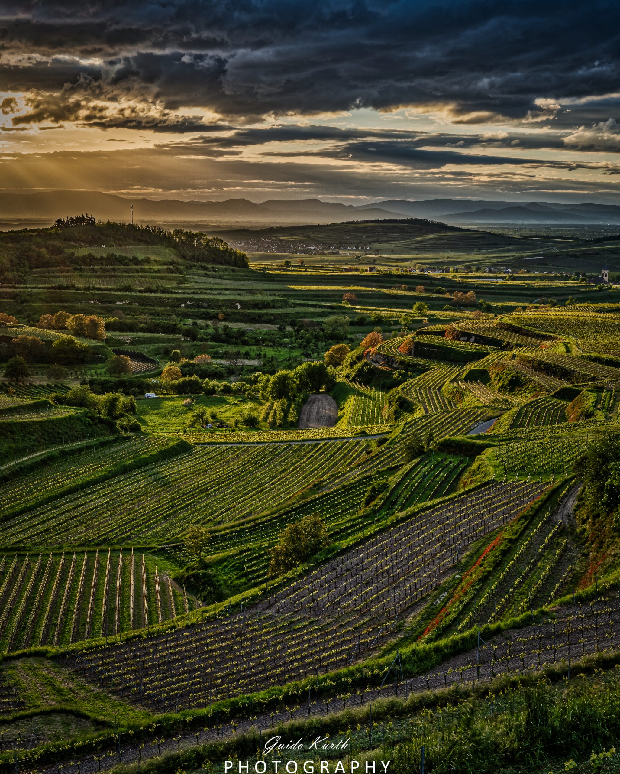 Mehr über den Artikel erfahren Bickensohl