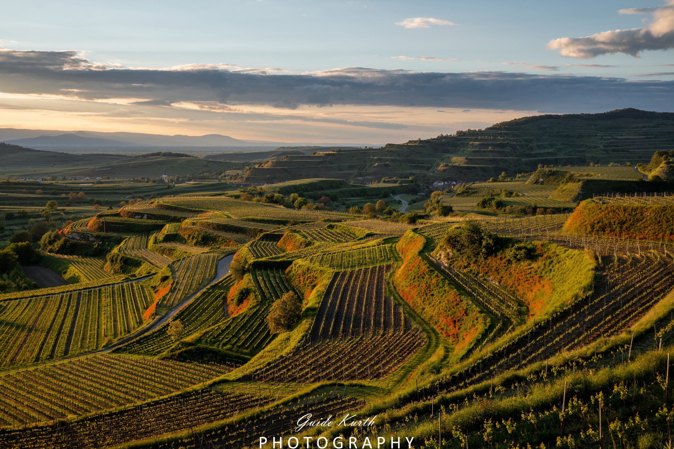 Mehr über den Artikel erfahren Bickensohl
