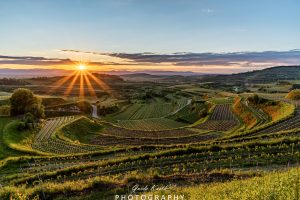 Mehr über den Artikel erfahren Bickensohl