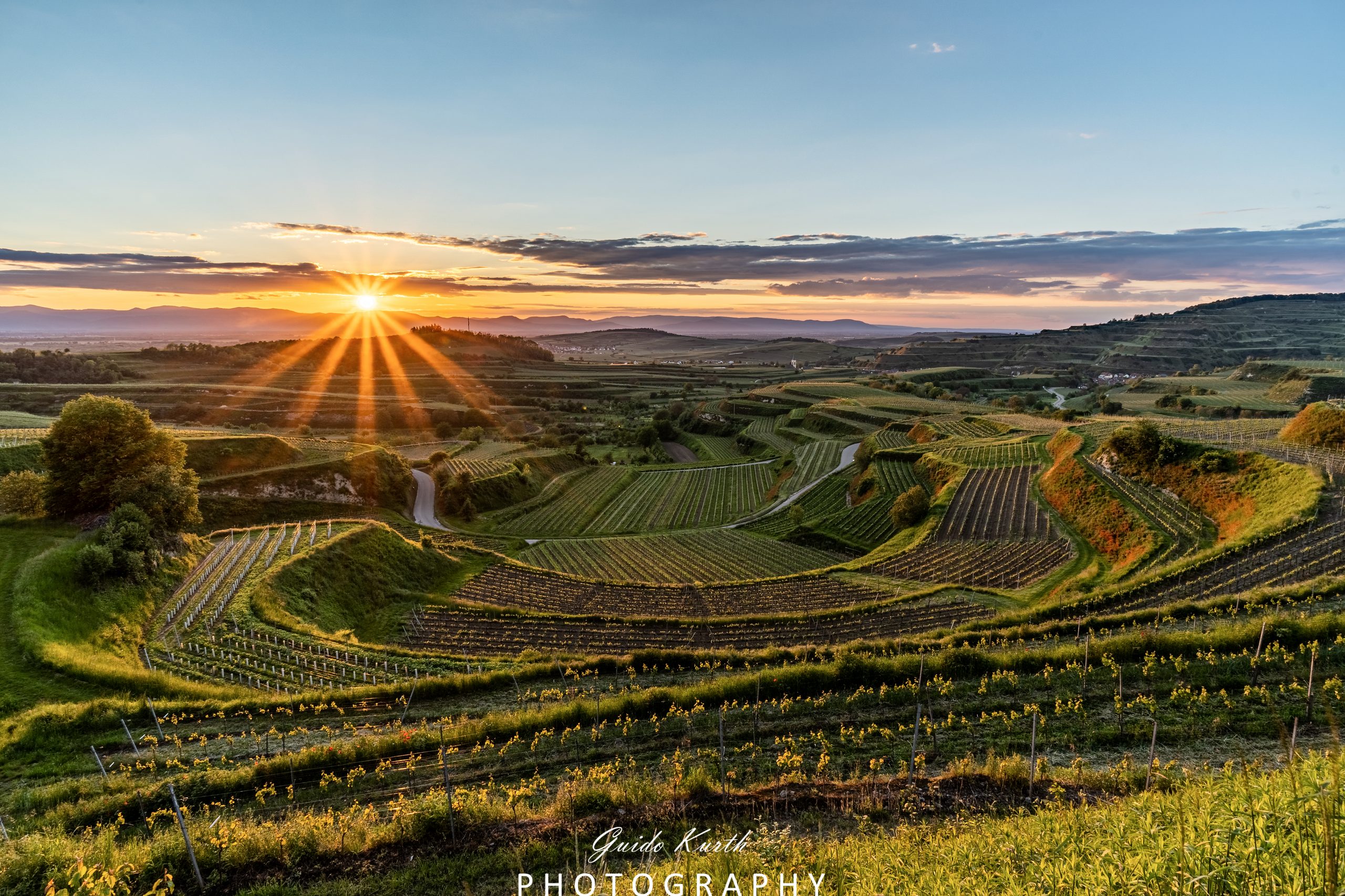 Mehr über den Artikel erfahren Bickensohl