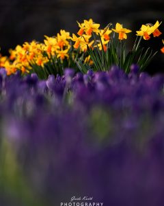 Mehr über den Artikel erfahren Frühling ist da…