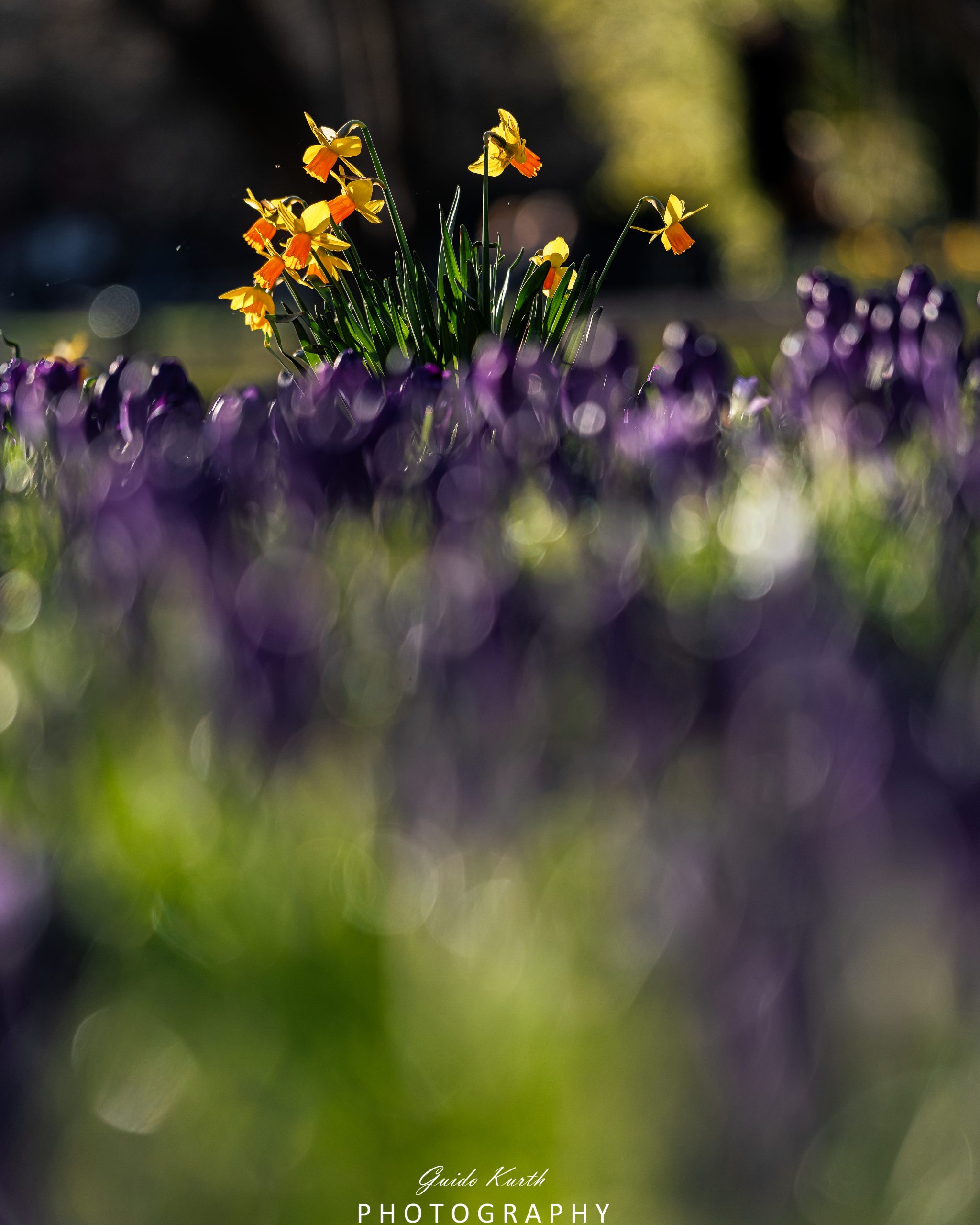 Mehr über den Artikel erfahren Frühling ist da…