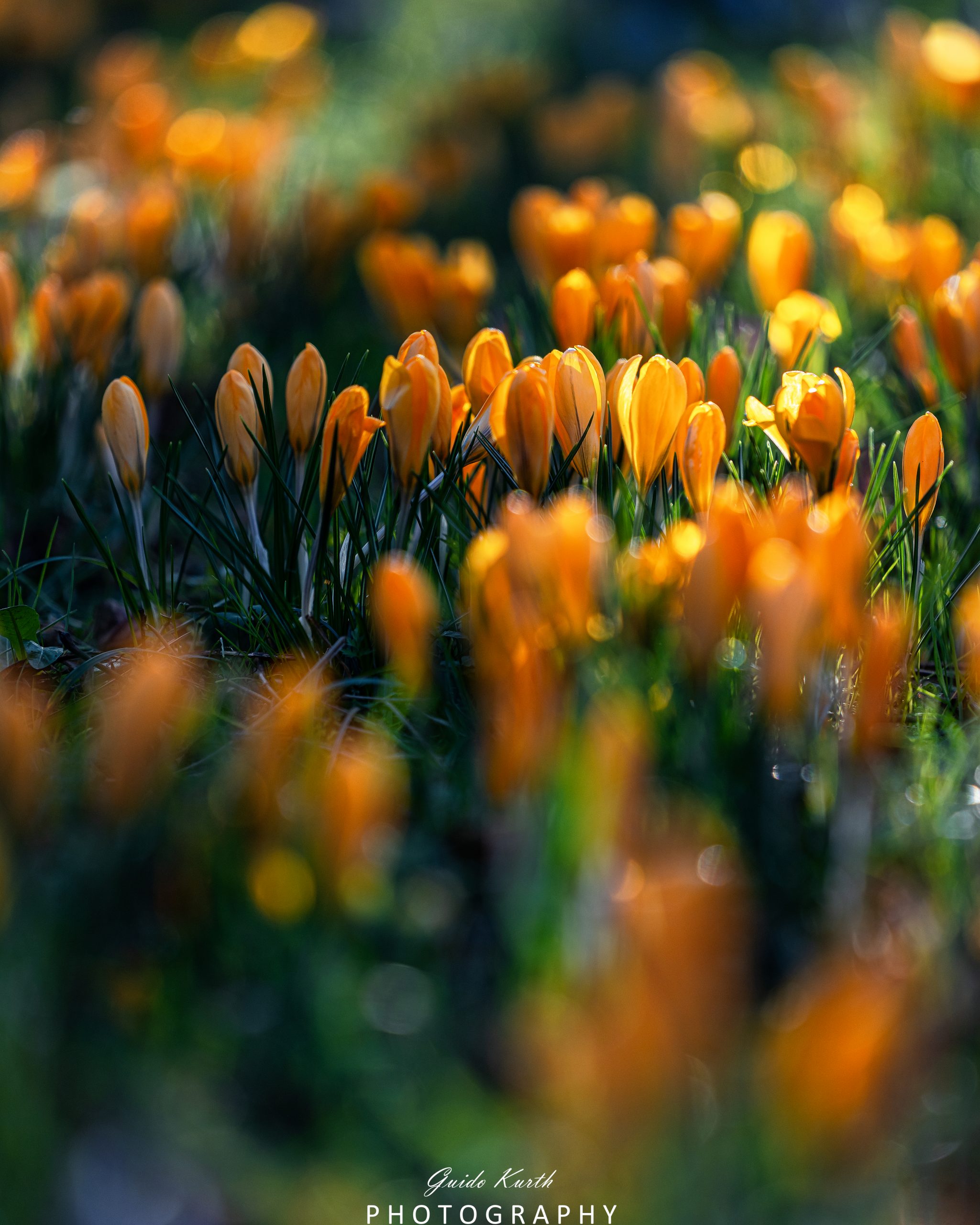 Mehr über den Artikel erfahren Frühling ist da…