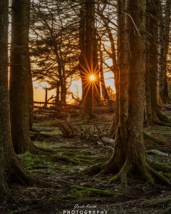 Mehr über den Artikel erfahren Schöne Abendstimmung….