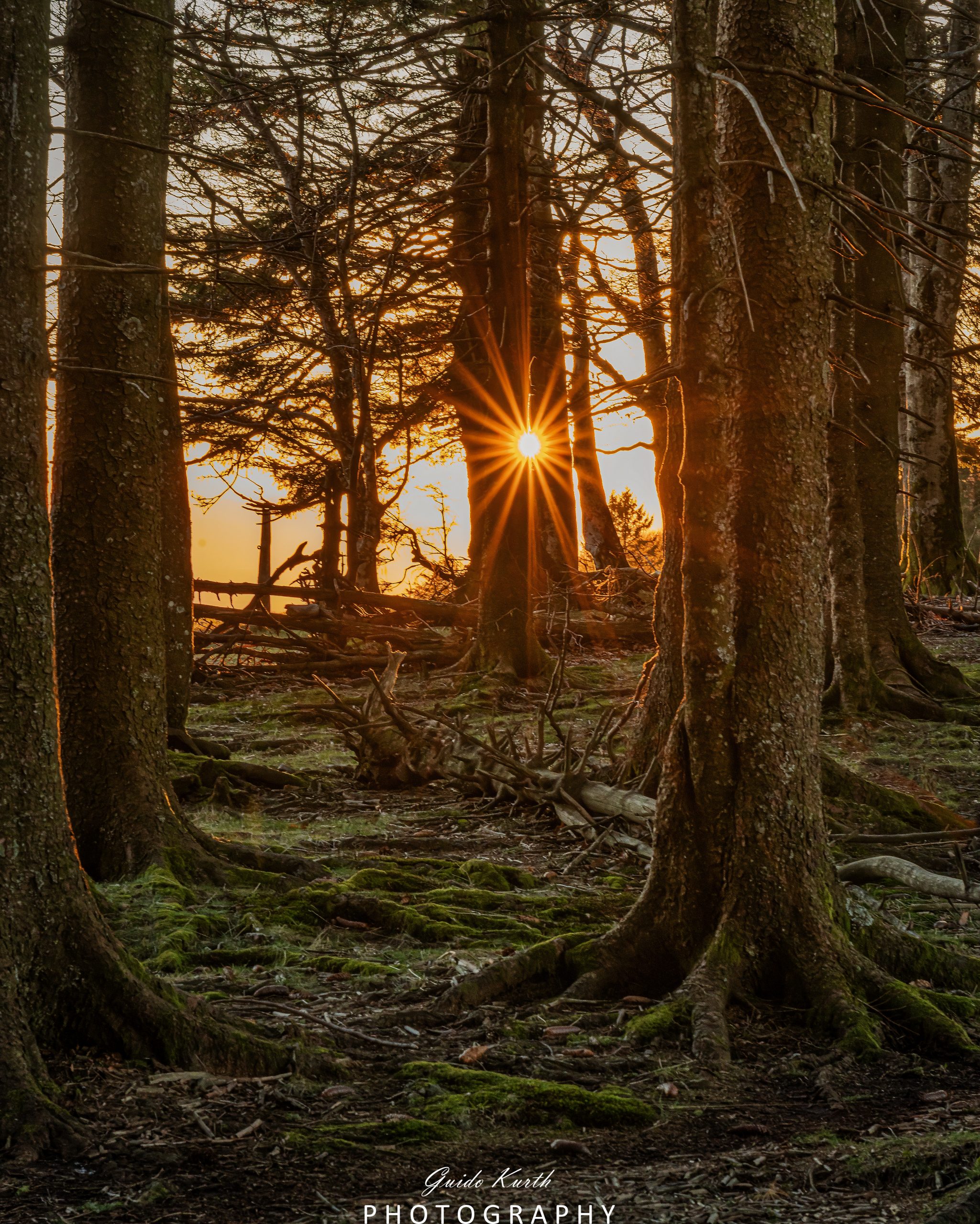 Mehr über den Artikel erfahren Schöne Abendstimmung….