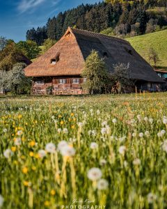 Mehr über den Artikel erfahren Schwarzwald Bauernhof