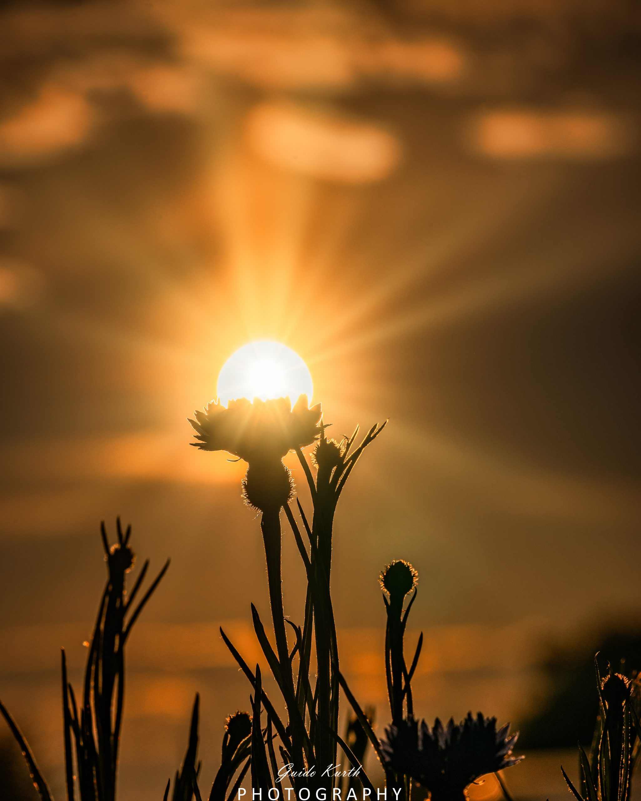 Mehr über den Artikel erfahren Sunset Moment…