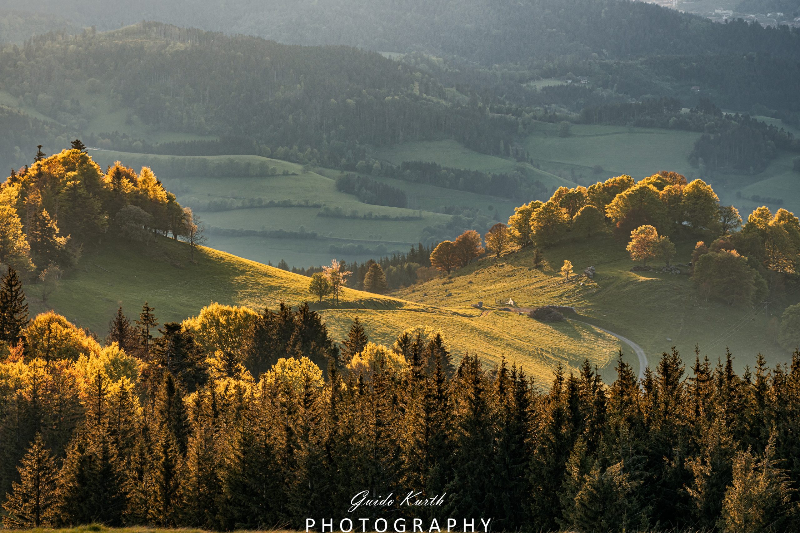 Mehr über den Artikel erfahren Goldener Sonnenschein…