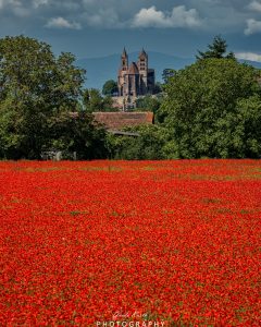 Mehr über den Artikel erfahren Roter Teppich….