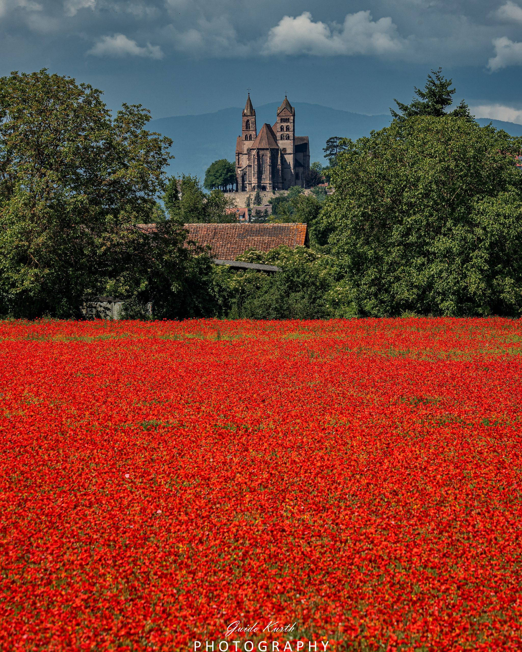 Mehr über den Artikel erfahren Roter Teppich….