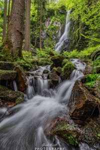 Mehr über den Artikel erfahren Wasserfall Liebe Schwarzwald…