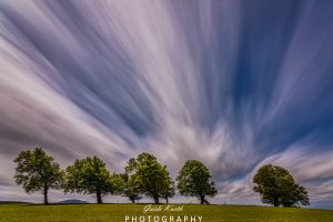 Mehr über den Artikel erfahren Windiger Tag Schauinsland…
