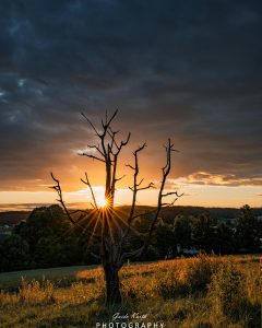 Mehr über den Artikel erfahren Sun always shines…