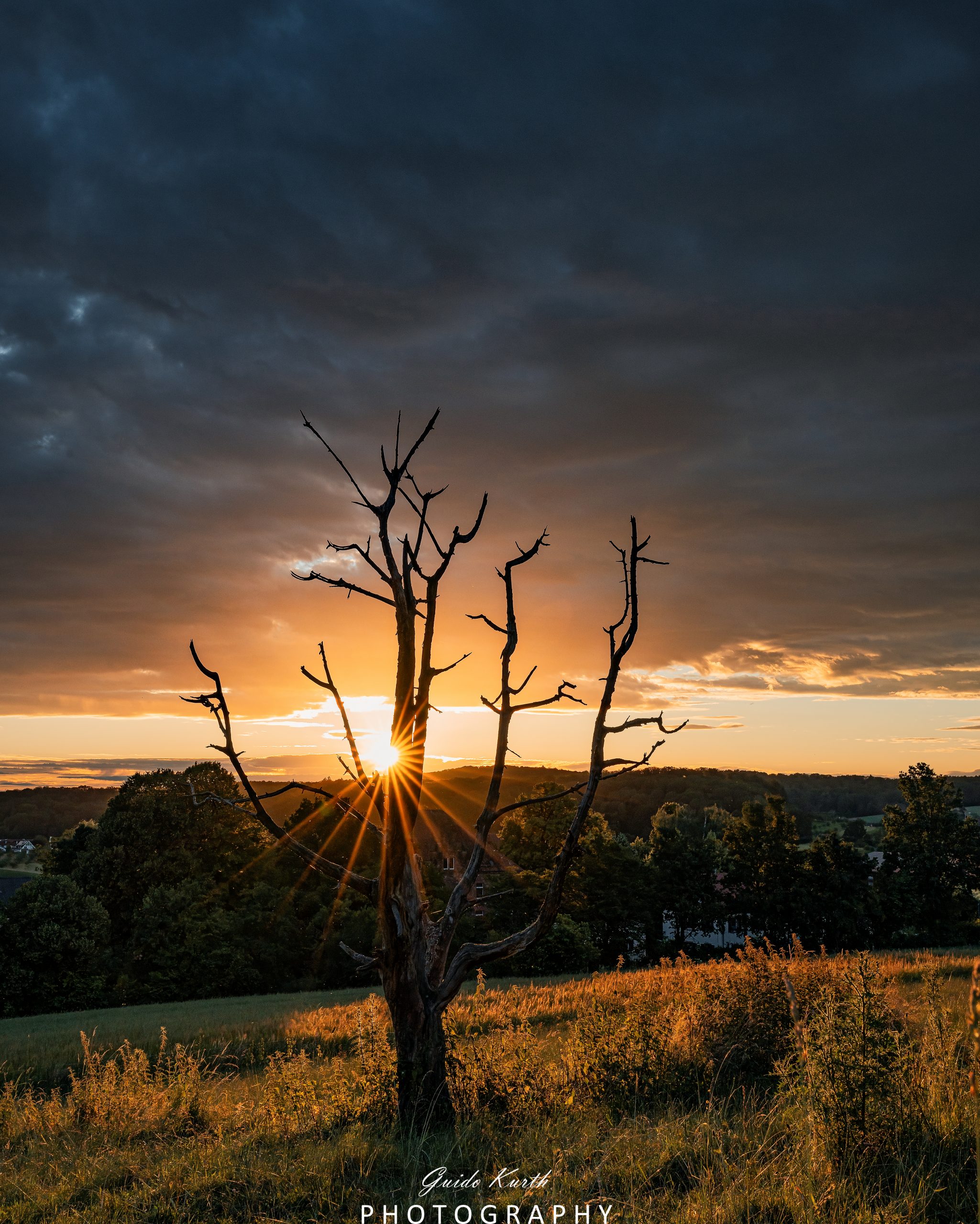 Mehr über den Artikel erfahren Sun always shines…