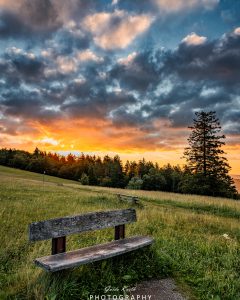 Mehr über den Artikel erfahren Sommer Morgen Kandel…