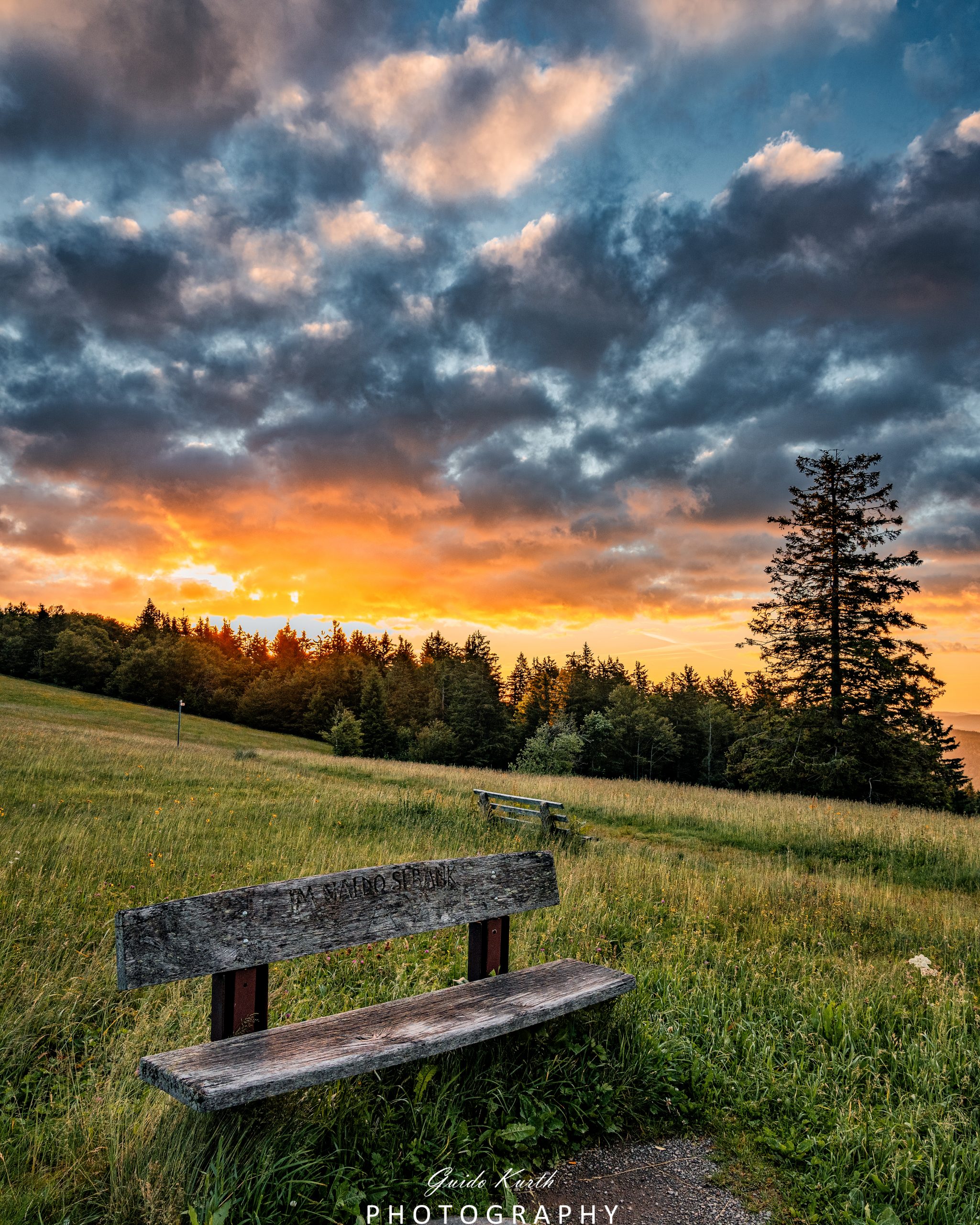Mehr über den Artikel erfahren Sommer Morgen Kandel…