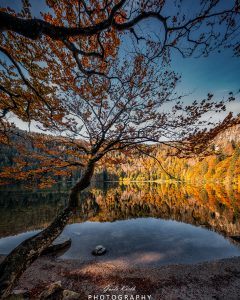 Mehr über den Artikel erfahren Spieglein, Spieglein…