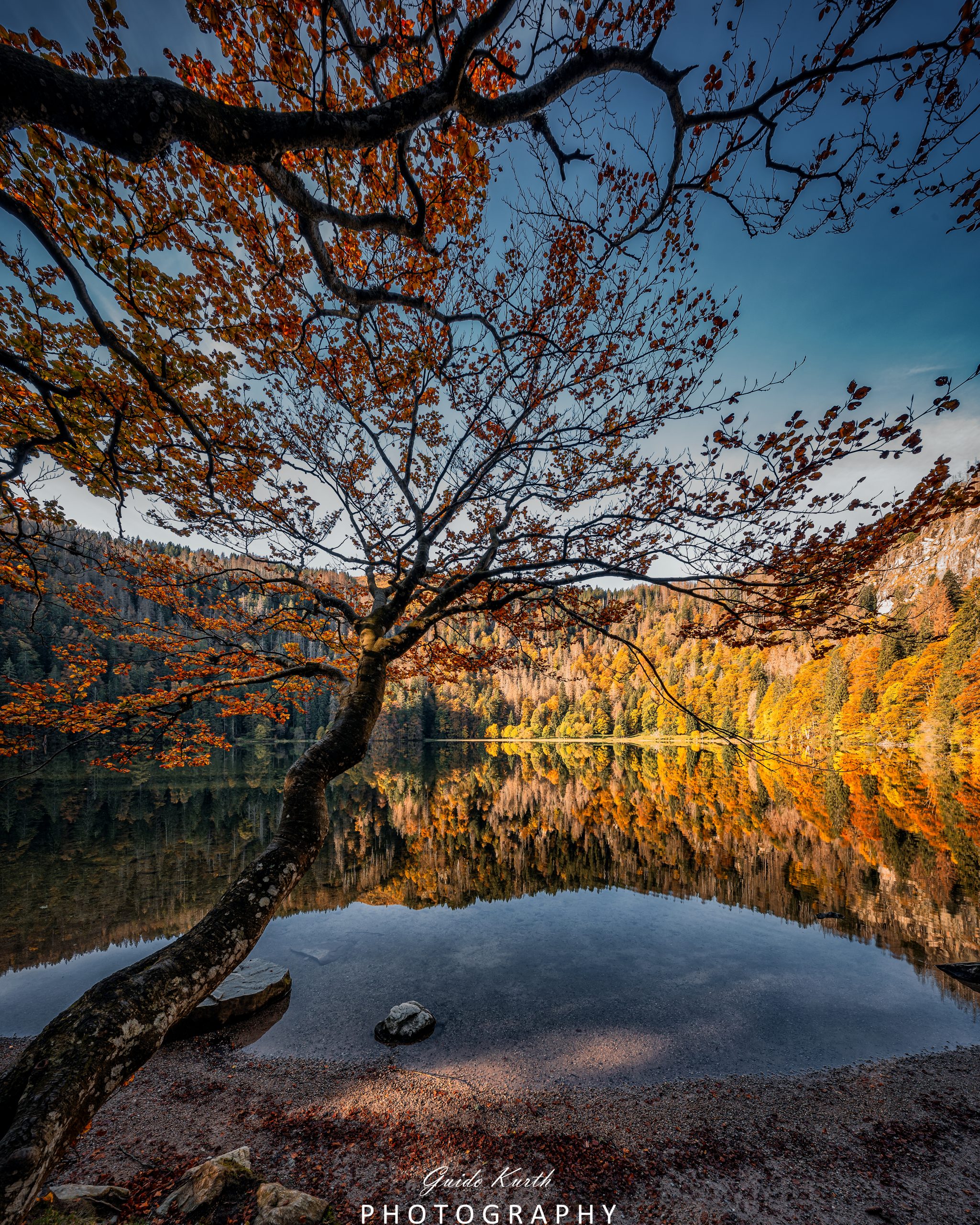 Mehr über den Artikel erfahren Spieglein, Spieglein…