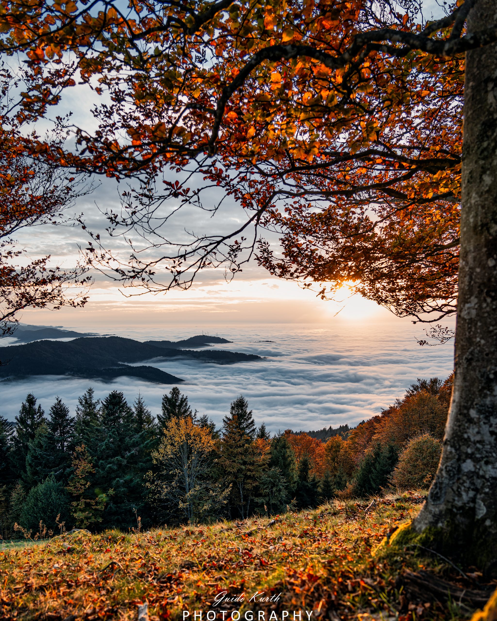 Mehr über den Artikel erfahren Nebelmeer im Herbst…