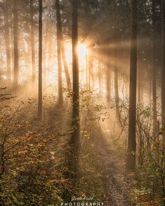 Mehr über den Artikel erfahren Es werde Licht….